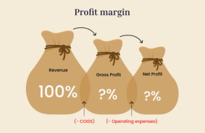 What is Profit Margin And How Do You Calculate it?